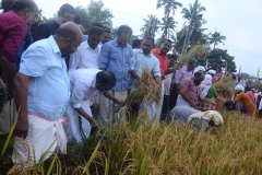 projt. Organic Theatre- Theatrum Farma